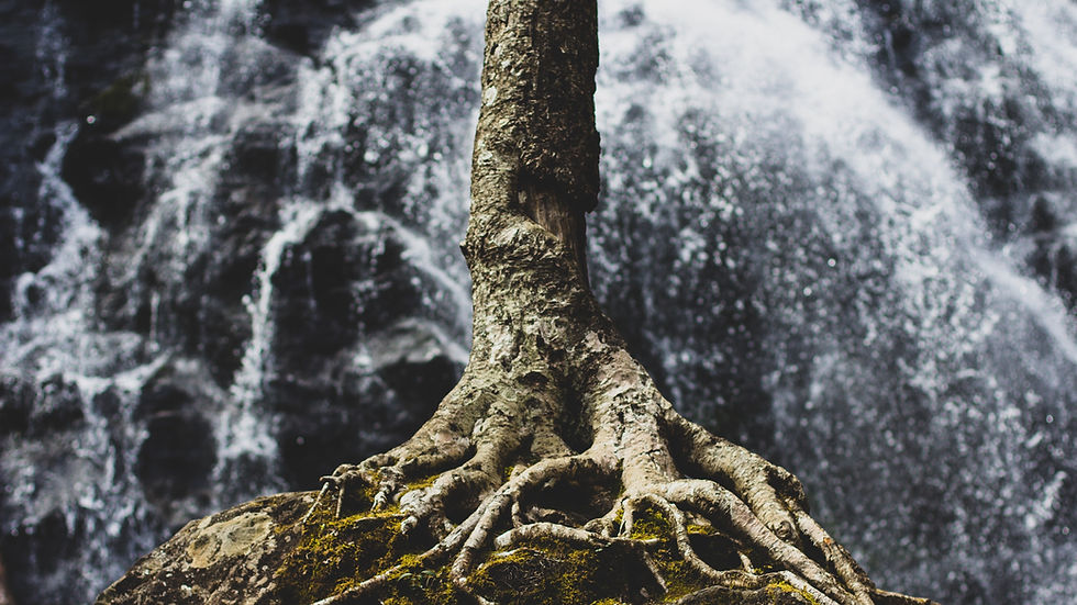 Developing Mental Toughness: A Guide to Enhancing Resilience