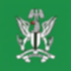 drapeau nigérian