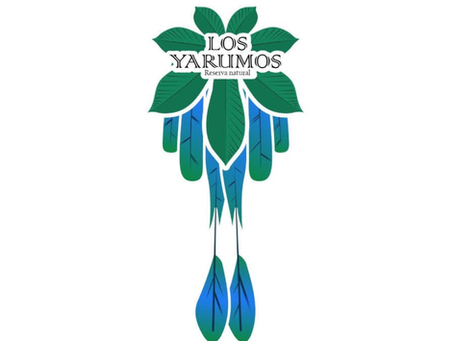 Reserva Natural Los Yarumos