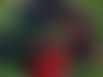 Ruta de la Habia copetona 