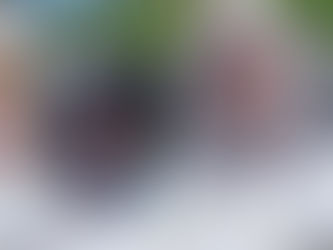 Identifying Common Household Pests