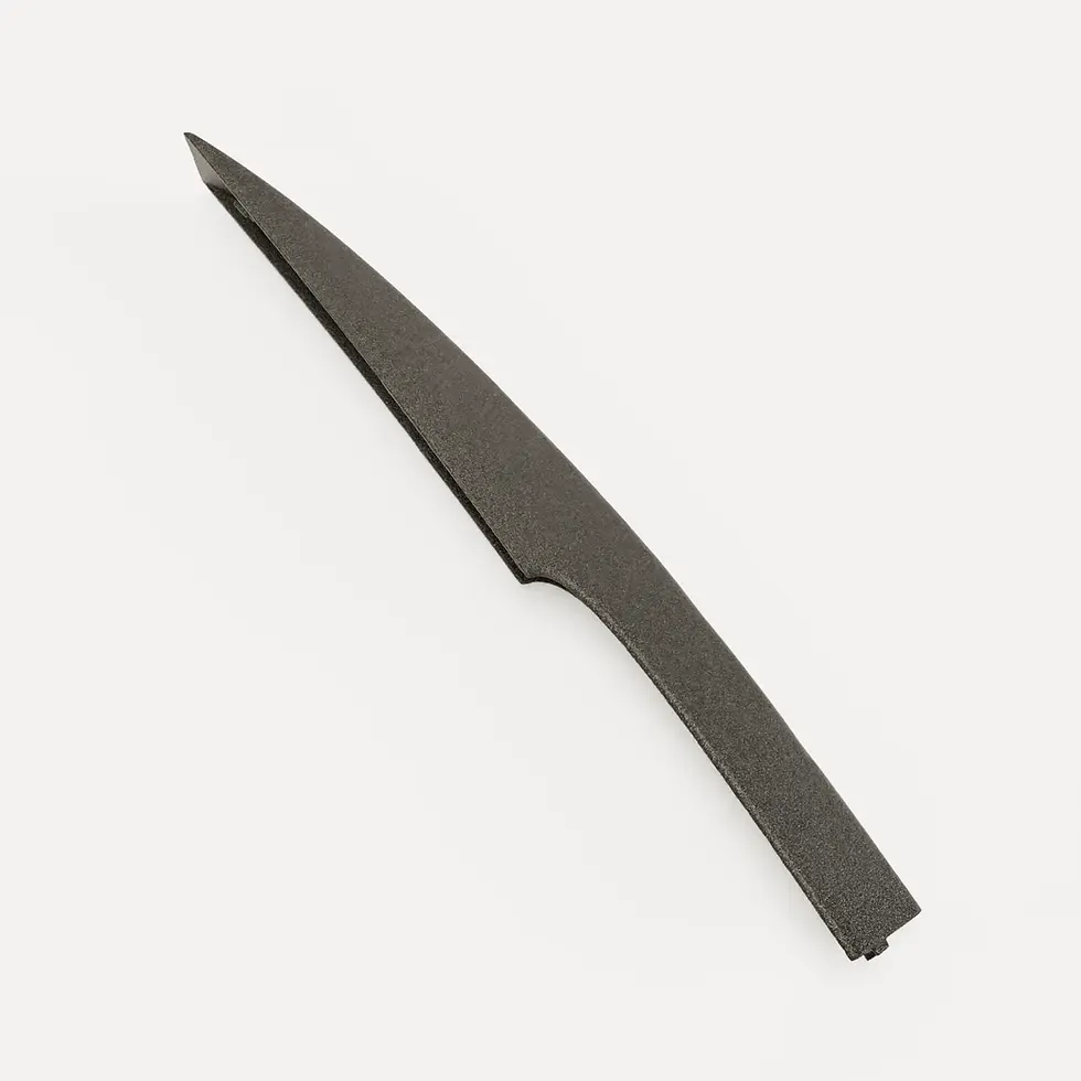 Миниатюра: Renault Laguna III Estate Roof Rack Cover Rear 738200001R