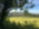 Landscapes - 4.jpg