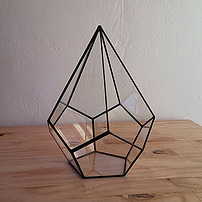 Terranium goutte.jpg