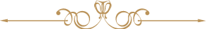 Asset 1.png