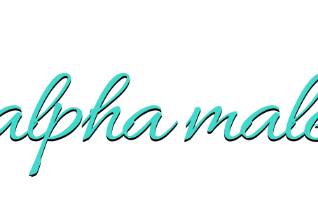 Top Five Alpha Male Romances