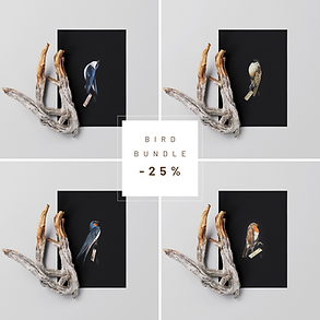 Dead bird print bundle discount