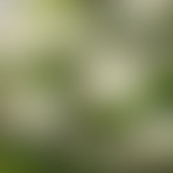 Ultimate Guide to Spring 2026