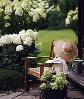 dreamstime_xl_306364023 copy.jpeg