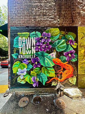 Copy of DSC_2949.JPG.jpg