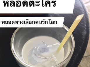 หลอดตะไคร้ หลอดทางเลือกคนรักโลก
