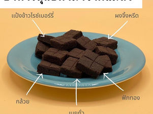 อาหารสุนัขทำมาจากแมลง
