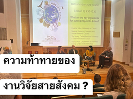 งานวิจัยสายสังคม