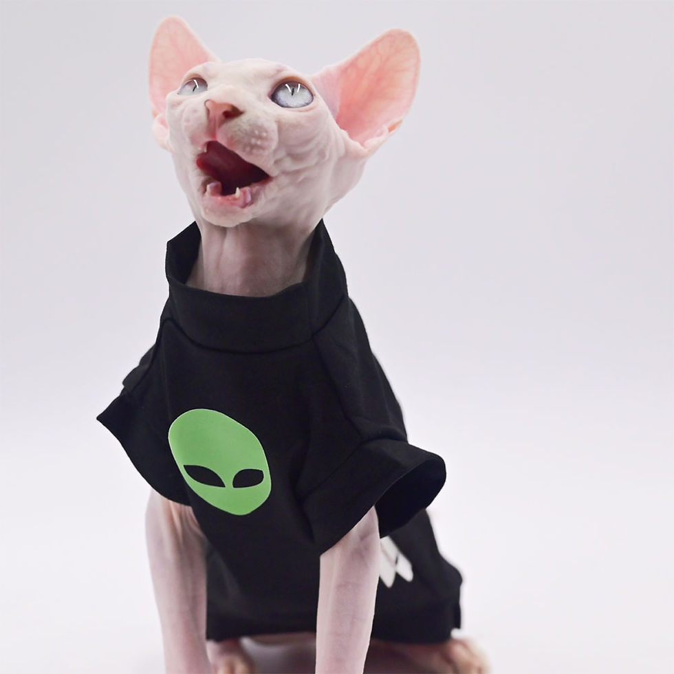 Thumbnail: Out of This World" Alien Print Cat Shirt