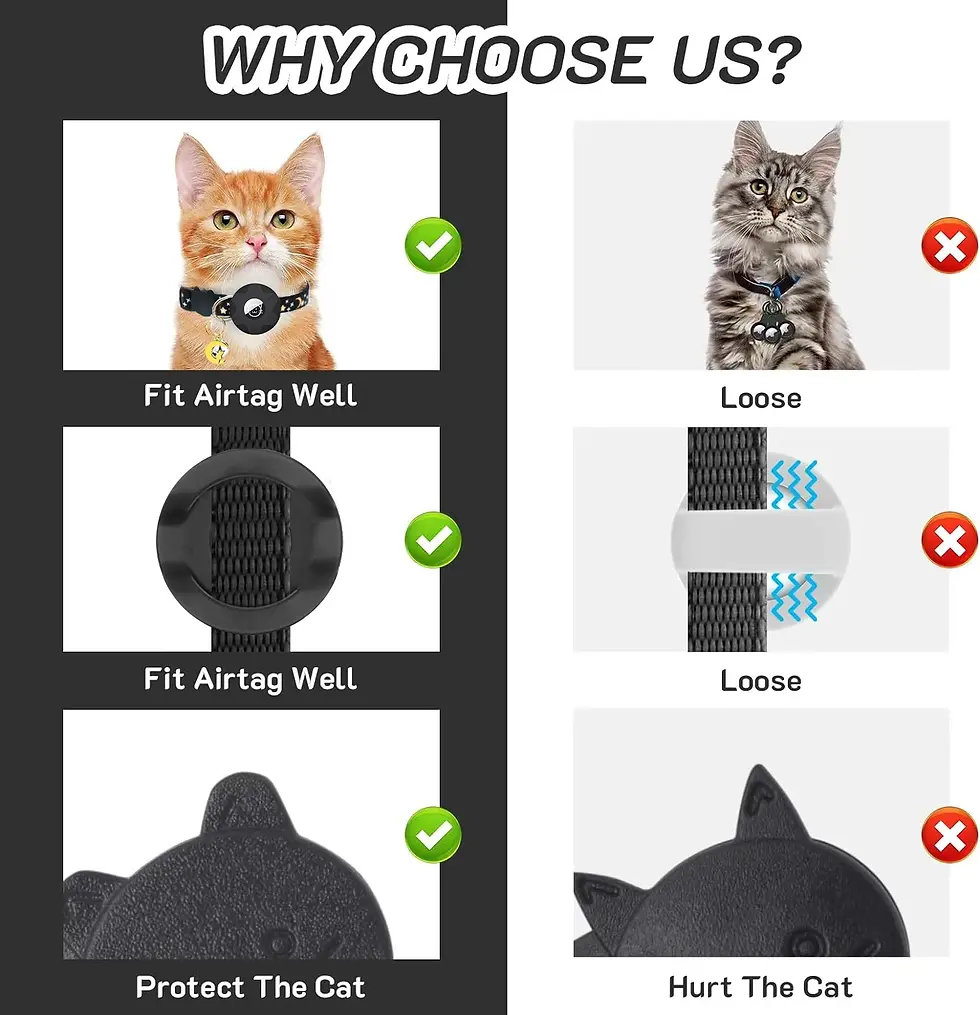 Thumbnail: Celestial AirTag Safety Collar