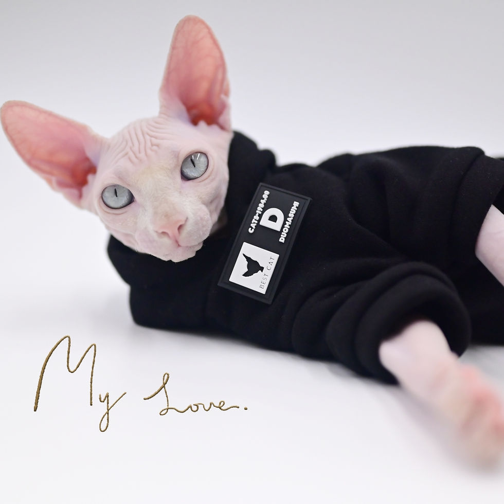 Thumbnail: Street-Chic Cat Hoodie