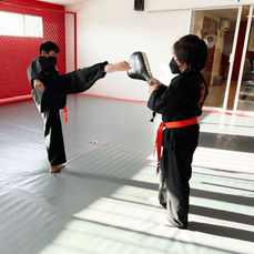 CLASES DE NINJUTSU.jpg