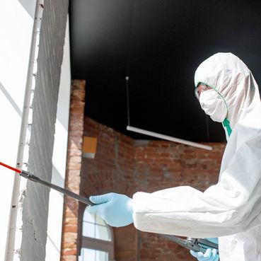 FUMIGACIONES CHINCHES.jpg