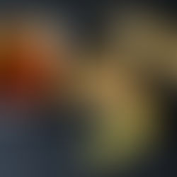 8 Beneficios del Jengibre