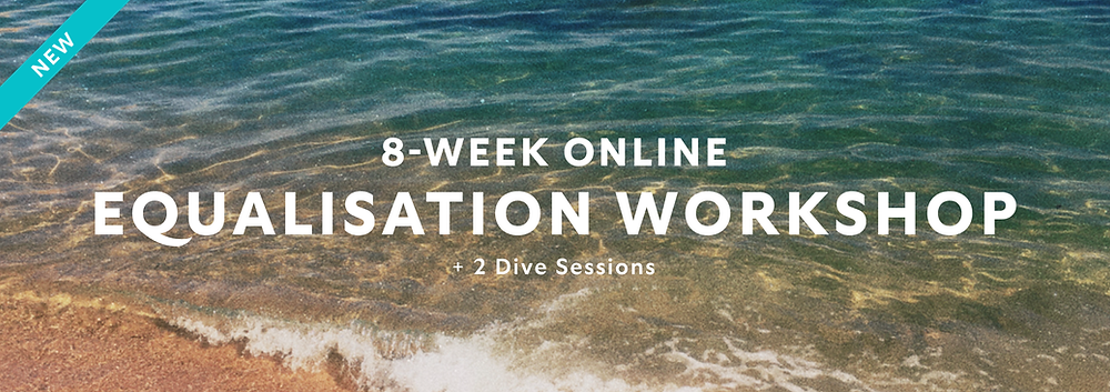 8-Week Online Equalisation Workshop