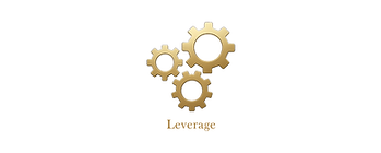 module_leverage.png