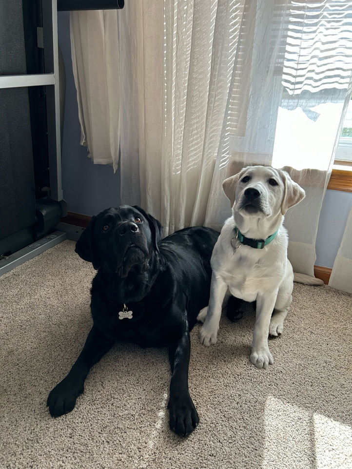 image1.jpeg