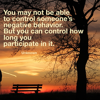 IMG_2798.PNG