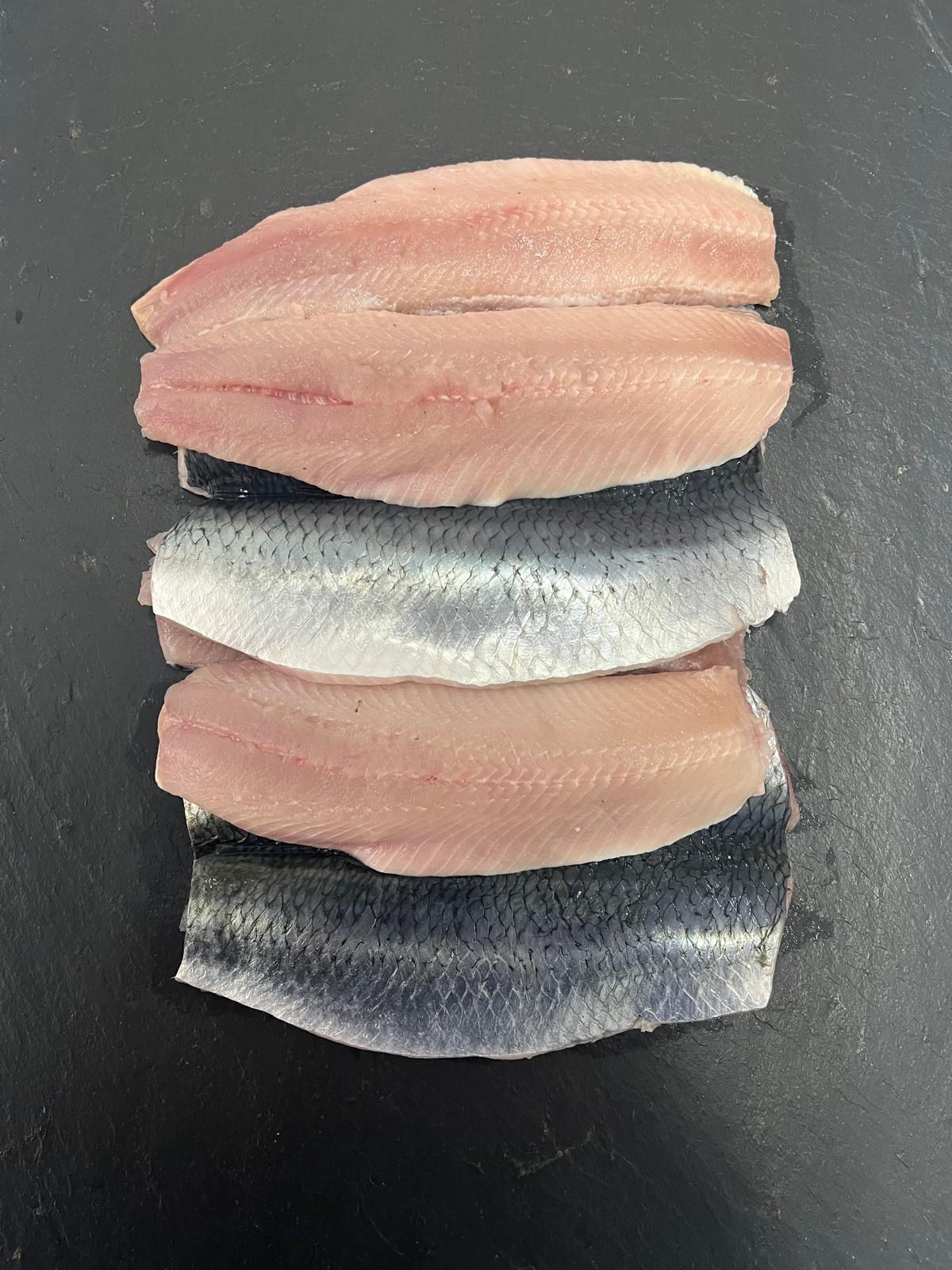 Herring Fillets (4 pack)