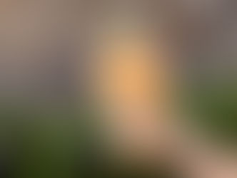 Sweet Treats at Disney’s Hollywood Studios: Indulgent Spring Flavors