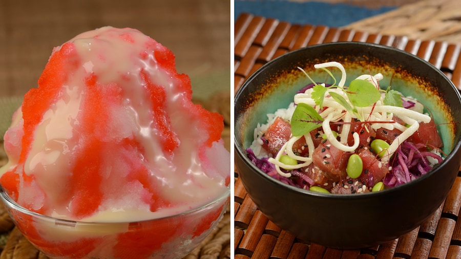 Kakigori and Tuna Poke Bowl from Disney's Animal Kingdom