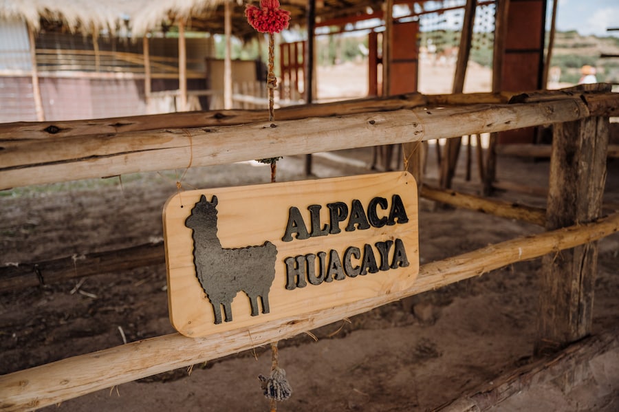 Alpaca sign