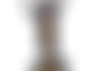 Factory Entertainment Enters The Action Figure Market!