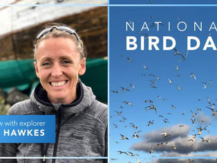 National Geographic Expert Shares Why Birds Should be Treated Like Celebrities