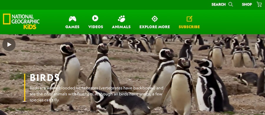 National Geographic Kids site