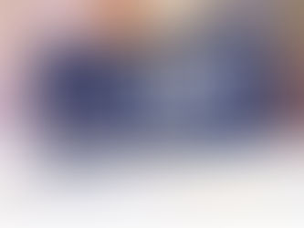 Walt Disney World Raises $1.5 Million for Make-A-Wish with Limited-Edition 50th Anniversary License Plate