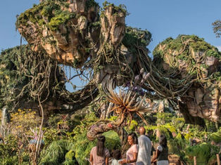 Pandora Through the Years