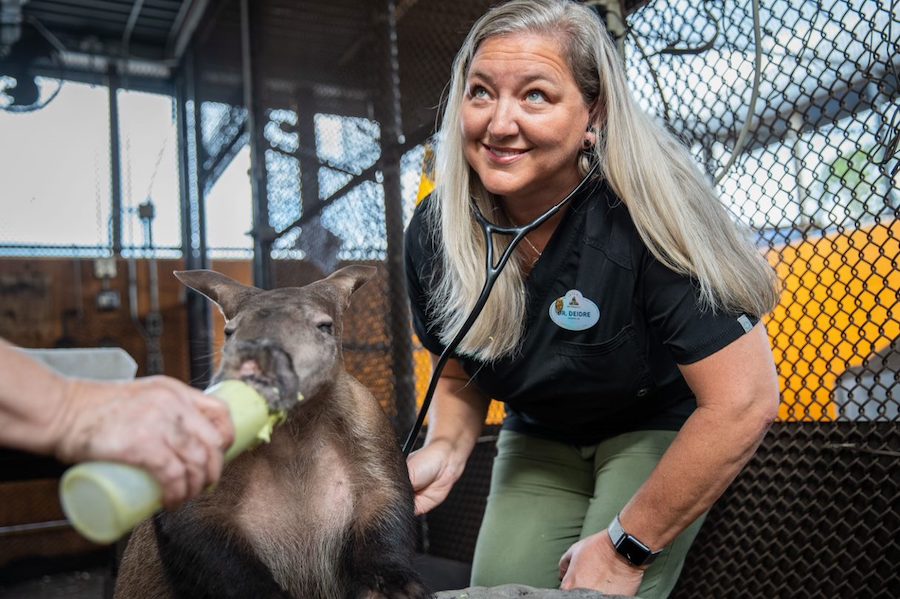 Disney veterinarian Dr. Deidre
