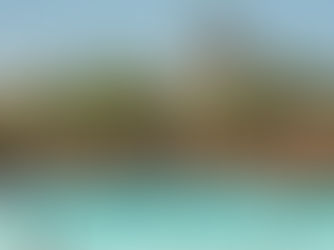 Totally Tropical Thrills Await Guests at Disney’s Typhoon Lagoon Water Park Reopening!