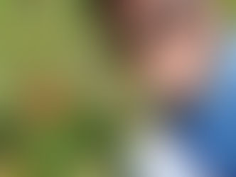 Look to the Sky: How Disney Helps Protect the Wildlife that Fly