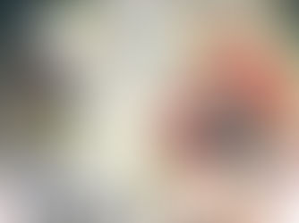 PEACH MOMOKO BREATHES NEW LIFE INTO THE PHOENIX FORCE IN DEMON WARS: DOWN IN FLAMES!