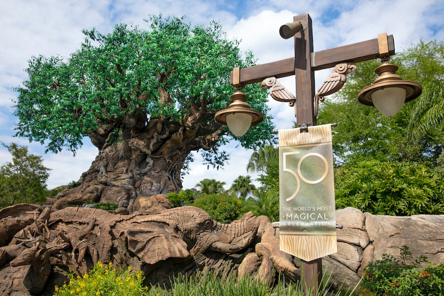 Disney's Animal Kingdom