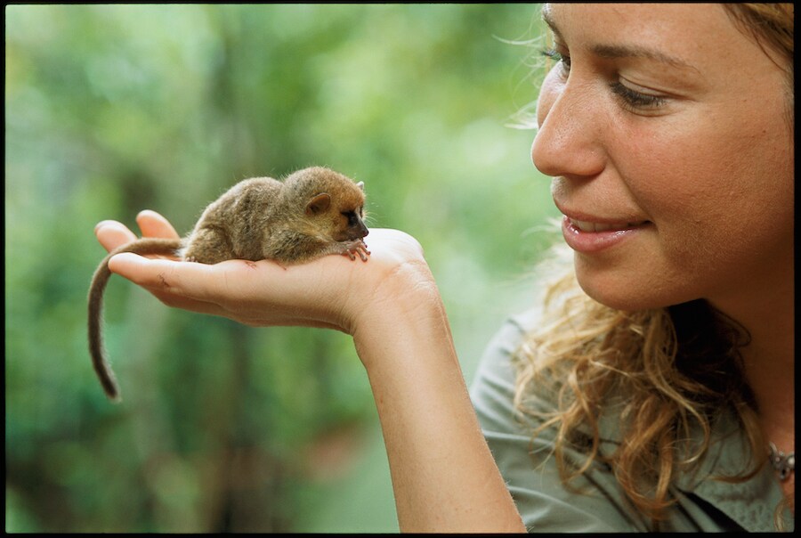 Dr. Mireya Mayor holding a mouse lemur