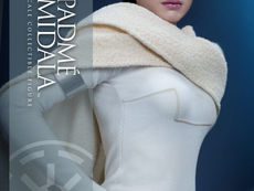 Star Wars Episode II: Attack of the Clones 1/6 Padmé Amidala