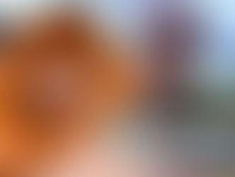 Banana Ball Coming to Disney World in 2026: What to Know!