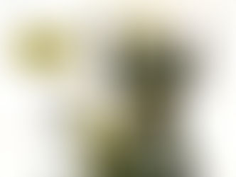 DANNY RAND’S JOURNEY TAKES A TRAGIC TURN IN IRON FIST 50TH ANNIVERSARY SPECIAL #1!