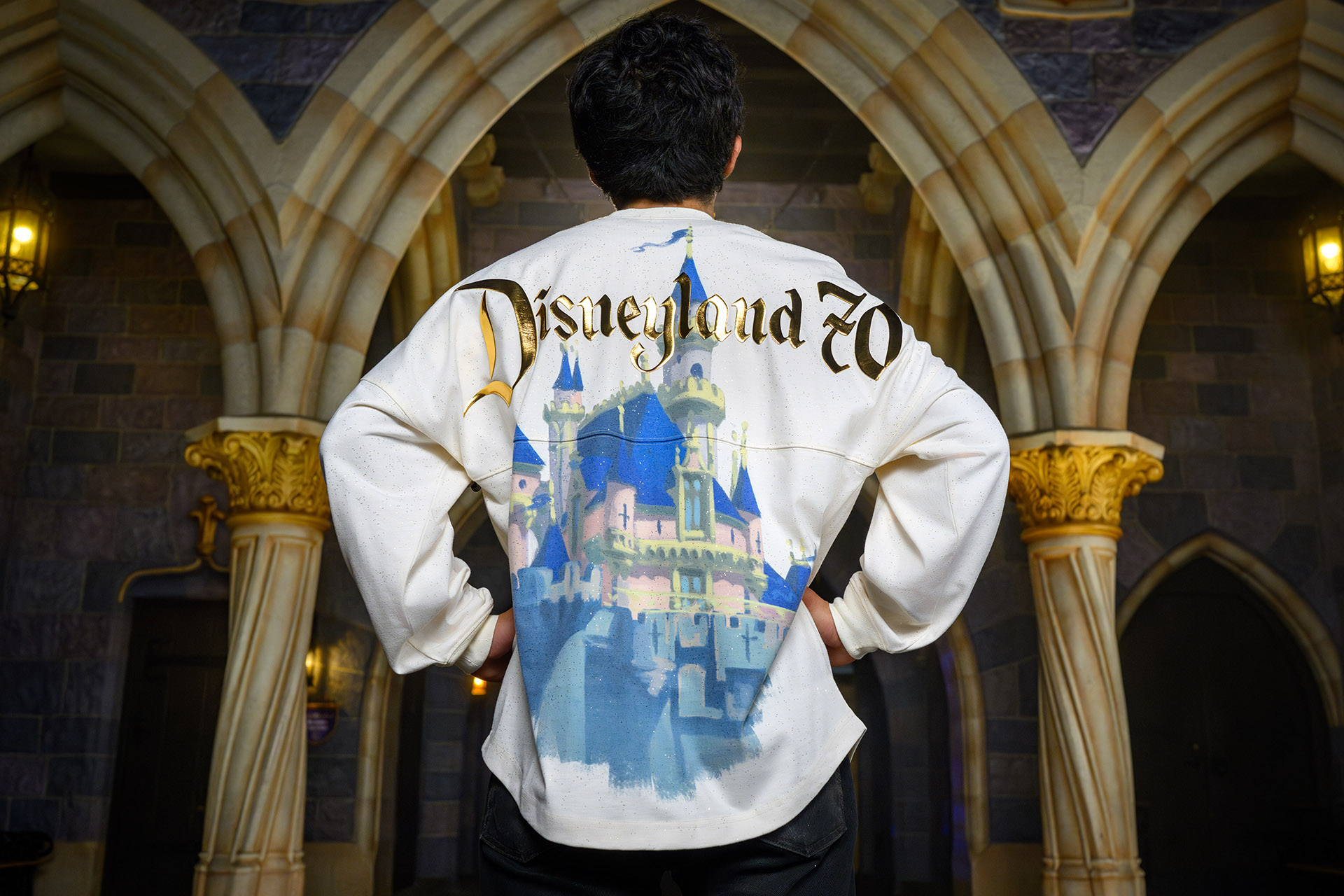 Celebrate Happy with Disneyland 70th Anniversary Merchandise 