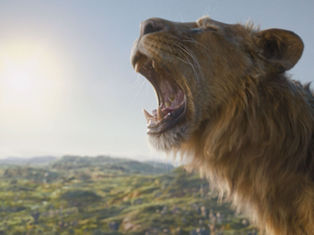 New Trailer for Disney’s ‘Mufasa: The Lion King Released!