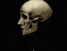 ‘A Haunting in Venice’ Teaser Trailer Debuts at CinemaCon