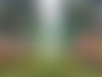 5 Ways to Celebrate Springtime Blossoming at Shanghai Disney Resort