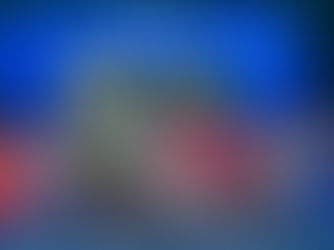 Disney Announces Additional $1 Million Donation to 12 Central Florida Nonprofits